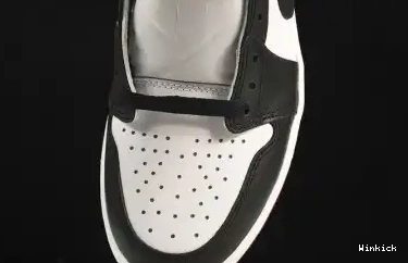1 LOW JORDAN 555088-1251 AIR 0420